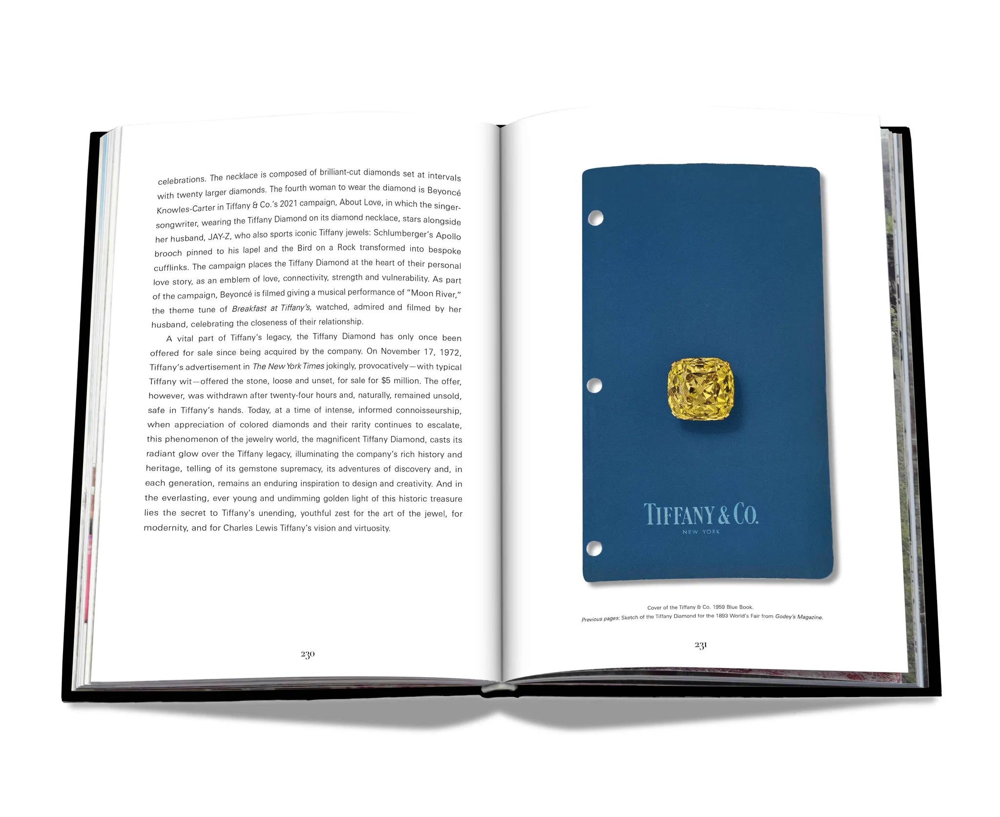 Assouline - Tiffany & Co. Vision and Virtuosity (Ultimate Edition)-TOJU Interior -TOJU Interior