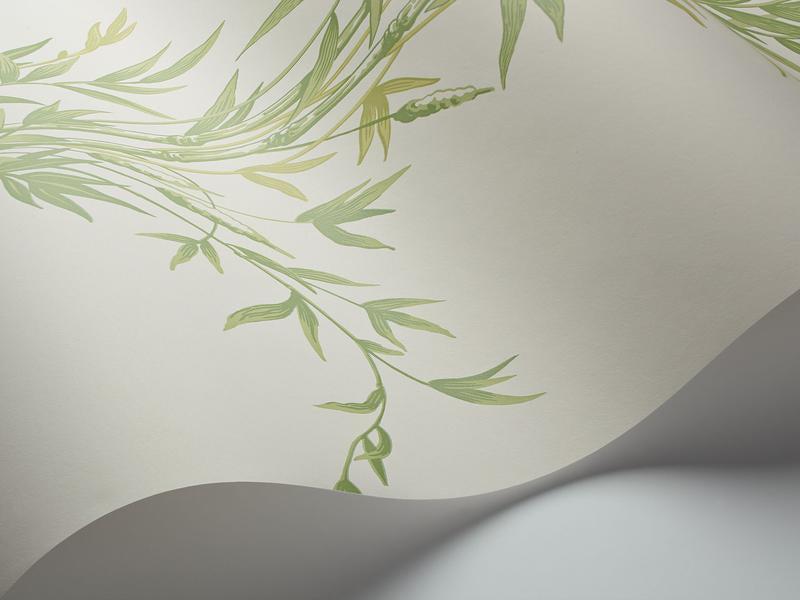 Cole and Son - Tapete Bamboo Wallpaper-Tapeten-Cole & Son-Olive Green on White S100/5023-TOJU Interior