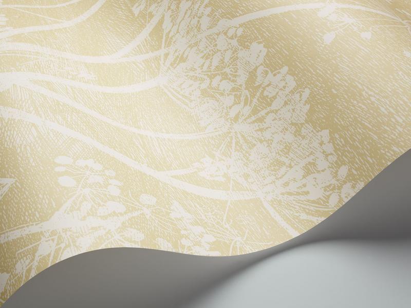 Cole and Son - Tapete Cow Parsley Wallpaper-Tapeten-Cole & Son-White & Soft Yellow 95/9053-TOJU Interior