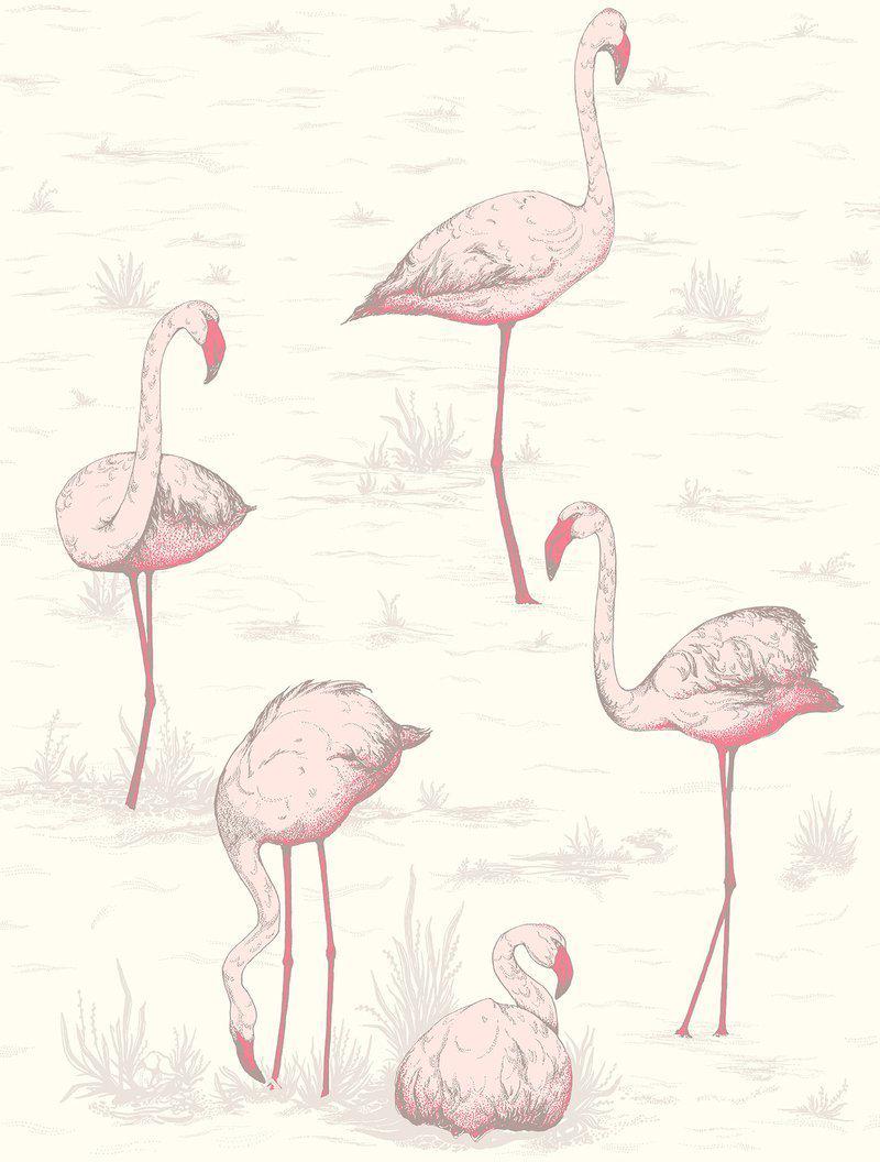 Cole and Son - Tapete Flamingos Wallpaper-Tapete-Cole & Son-TOJU Interior