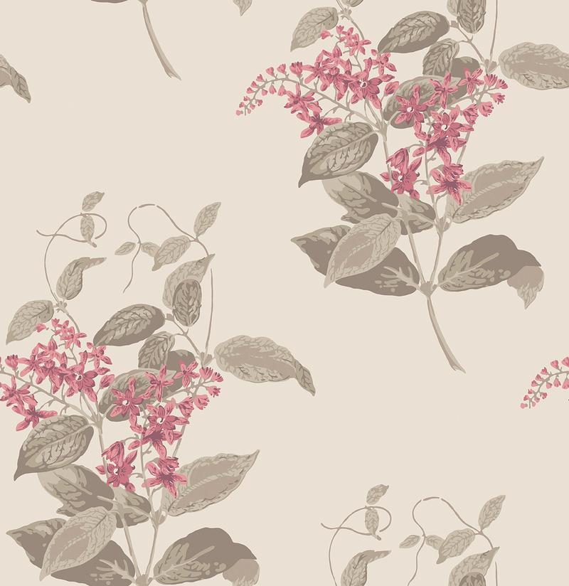 Cole and Son - Tapete Madras Violet Wallpaper-Tapeten-Cole & Son-TOJU Interior