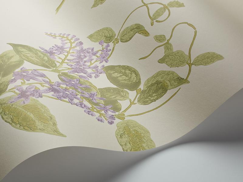 Cole and Son - Tapete Madras Violet Wallpaper-Tapeten-Cole & Son-Purple & Olive on Cream S100/12056-TOJU Interior