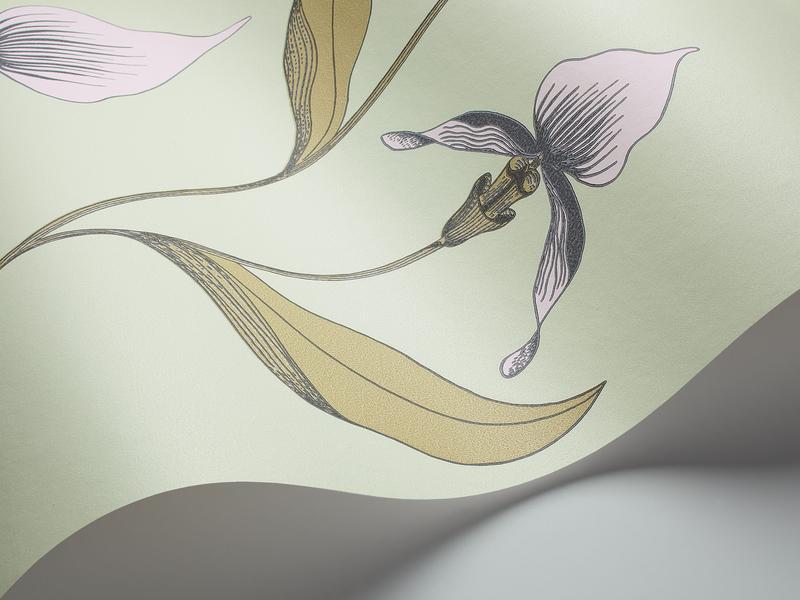 Cole and Son - Tapete Orchid Wallpaper-Tapeten-Cole & Son-Chalk & Sand 66/4028-TOJU Interior