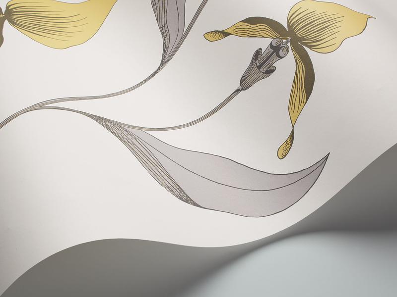 Cole and Son - Tapete Orchid Wallpaper-Tapeten-Cole & Son-Lemon & Heath Grey 95/10057-TOJU Interior