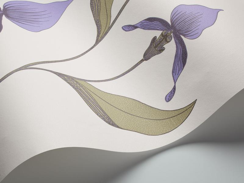 Cole and Son - Tapete Orchid Wallpaper-Tapeten-Cole & Son-Lilac & Old Olive 66/4024-TOJU Interior
