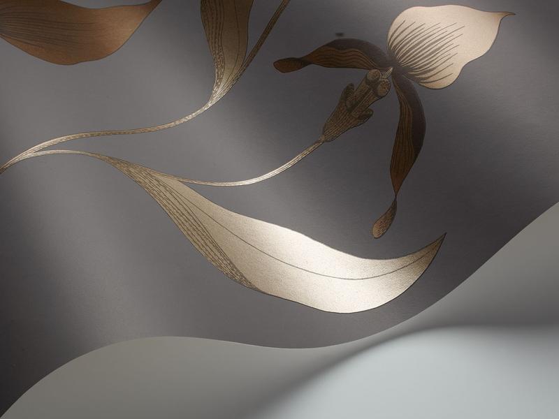 Cole and Son - Tapete Orchid Wallpaper-Tapeten-Cole & Son-Metallic Bronze & Soot 95/10056-TOJU Interior