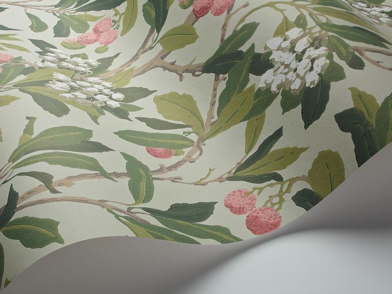 Cole and Son - Tapete Strawberry Tree Wallpaper-Tapeten-Cole & Son-Chalk Rose & Forest Green on Eau Du Nil S100/10048-TOJU Interior