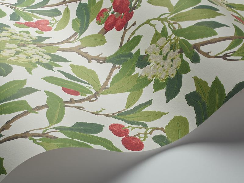 Cole and Son - Tapete Strawberry Tree Wallpaper-Tapeten-Cole & Son-Olive Red & Leaf Green on White S100/10049-TOJU Interior